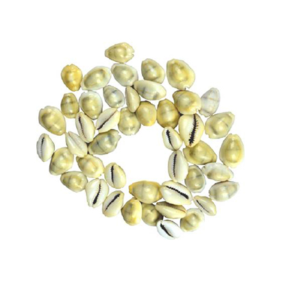 Dharmik Kaudi 21 pieces Sacred Shankh Stoneware Yantra  (Pack of 21)